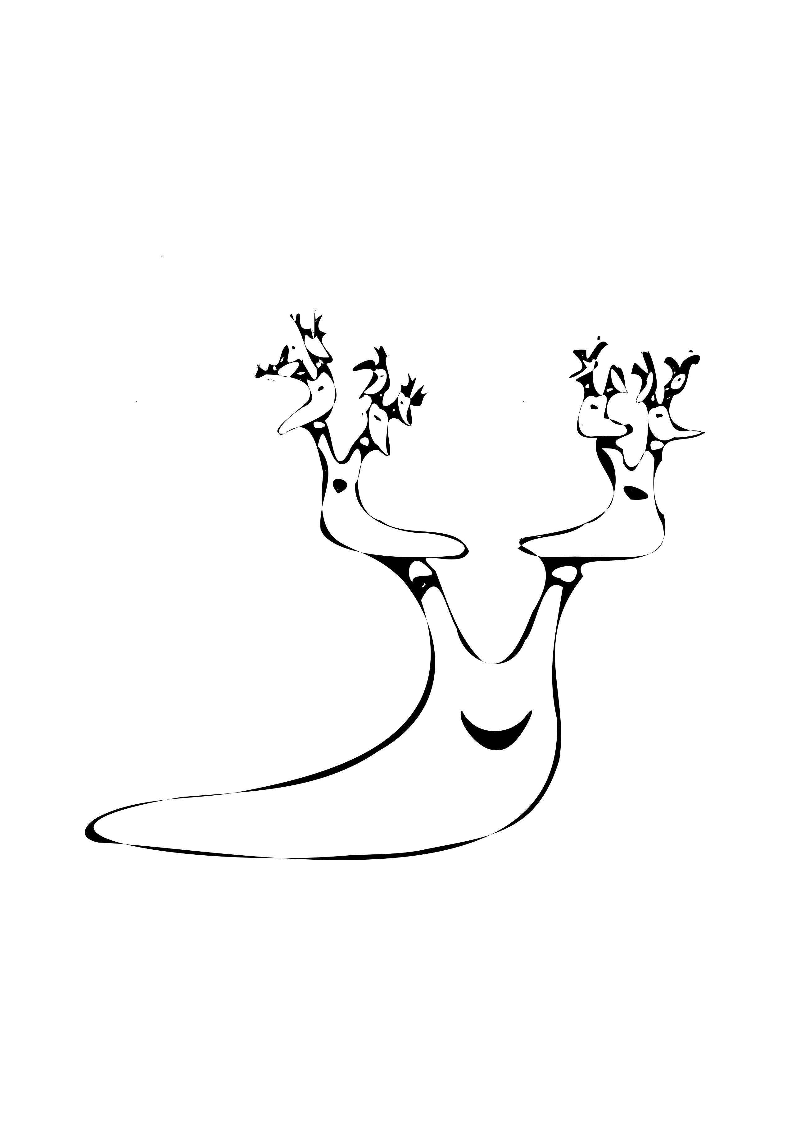 fraktalny slimak