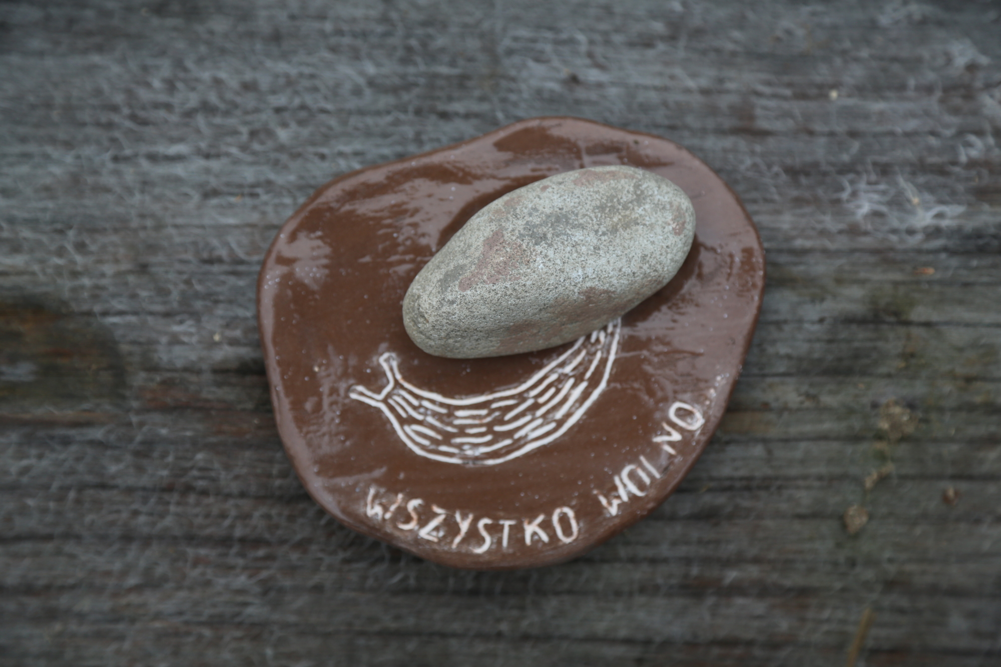 dewocjonalia wszystko wolno slimaczyzm pielgrzymka 1