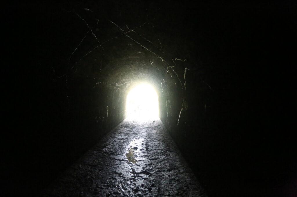 tunel slimakow